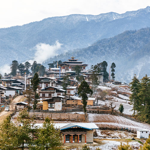 Gangtey Valley